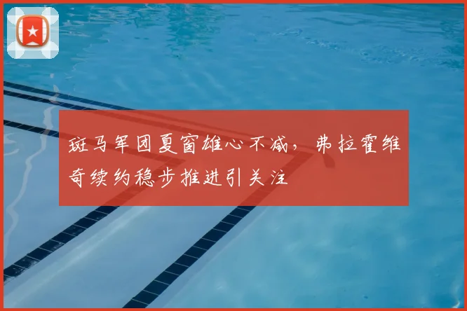 斑马军团夏窗雄心不减，弗拉霍维奇续约稳步推进引关注