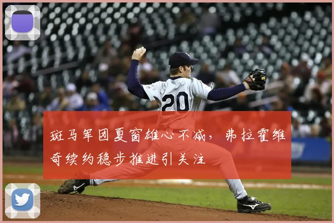 斑马军团夏窗雄心不减，弗拉霍维奇续约稳步推进引关注
