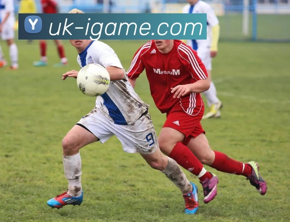 App Interface Preview